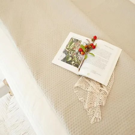 Helloapulia - Charming Trulli Almadari * チステルニーノ